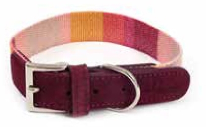 Picture of LeoPet Stripped Fabric Leather Collar